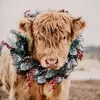 Teri Tyner - @teri.tyner - TikTok