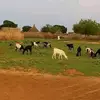 Terry Tyner - @terrytyner291 - TikTok