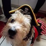 Terry Utterback - @terry.utterback.370 - Instagram