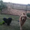 Terry - @terry.utter.jr - TikTok