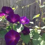 Terry Van Meter - @vanmeterterry - Instagram