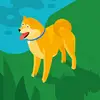 terryvanmeter67 - @terryvanmeter67 - TikTok
