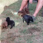 Terry Venable - Facebook