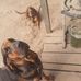 Terry Verner - Facebook
