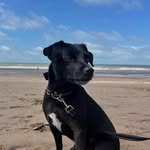 TERRY🐕‍🦺 - @terry_vidales_ - Instagram