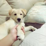 Terry Vidal - @terry_vidal - Instagram