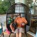 Terry Vore - Facebook