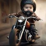 @terry.vreeland - Instagram
