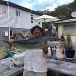 Terry Waddell - @mba.benedict.16 - Instagram