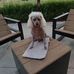 Teresa Waggoner - Facebook