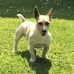 Terry Wake - Facebook