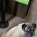 Terry Waller - Facebook
