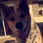 Terry Waller - @terry.waller.391420 - Instagram