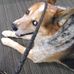 Terry Waller - Facebook