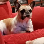 Terry Warner - @terry.warner.9889 - Instagram