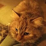 Terry warner - @terrywarner683 - Instagram
