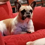 Terry Warner - @terry.warner.9889 - Instagram