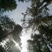 Terry Wasson - Facebook