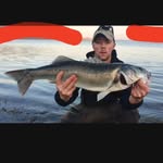 Terry Wax bass fishing - @terry_wax - Instagram