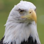 Terry Wegner - @wegnerterry - Instagram