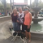 Terri Wehner - @terriwehner - Instagram