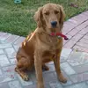 Terry Wehner542 - @terrywehner888 - TikTok
