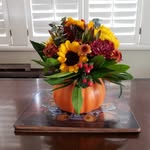 Terry Wehner - @terry.wehner.58 - Instagram
