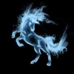 Terry Wehner - Facebook