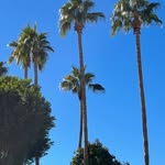 Terry Weisgerber - @terryweisgerber - Instagram