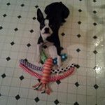 Terry Weisser - @terry.weisser.14 - Instagram
