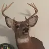 L - @terrywenger4 - TikTok