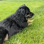 Terri Wertz - @terriwertz1 - Instagram