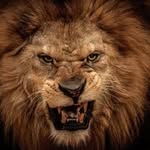 Terry Wesley - @mr.wesley09 - Instagram