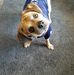 Terry Weyer - Facebook