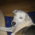 Terry Whitehead - @terry.whitehead.965 - Instagram