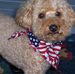Terri Whitmire - Facebook