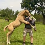 Terry Wilks - @tcwilks874 - Instagram