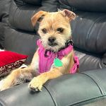 Terry Coleman Willcott - @terrylwillcott - Instagram