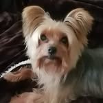 Terry Willems - @terrywillems38 - Instagram