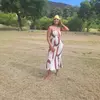 TerryWillemse - @user8785099917504 - TikTok