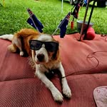 Terry Willson - @tez069 - Instagram