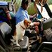 Terry Willson - Facebook