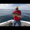 Terry Wilson - @terrywilson369 - TikTok
