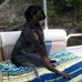 Terry Wilmoth - Facebook