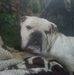 Terry Wilt - Facebook