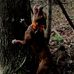 Terry Wilt - Facebook
