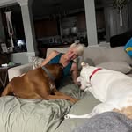 Terri Winchell - @terriwinchell - Instagram