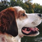 Terry Winchell - @kayaker797 - Instagram