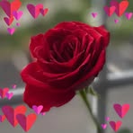 Terry Winfield - Facebook