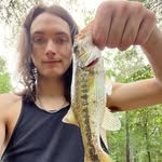 Terry wing - @toasted4.2.0 - Instagram